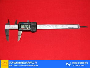 面差尺 桂量量具非標現貨 優(yōu)質商家 湛江數顯面差尺